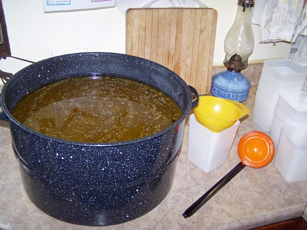 Chicken stock crop Sept. 2017.jpg