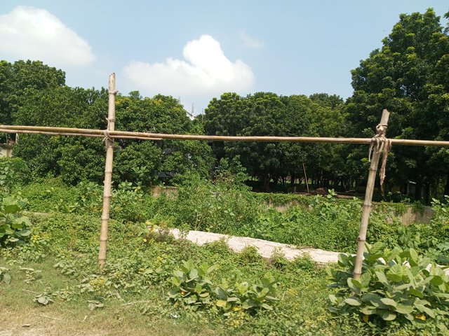 IMG_20240918_101820_329.jpg
