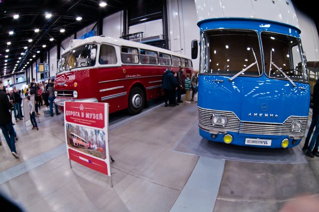 ma_oldtimer_bus-0034wS.jpg