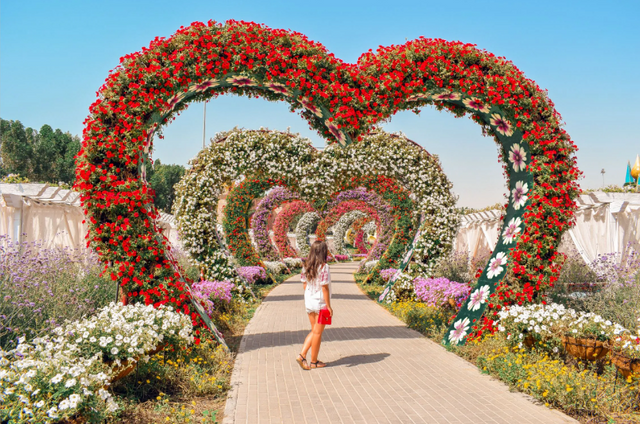 dubai-miracle-garden.png