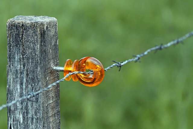 wicker-fence-1319080_1280.jpg