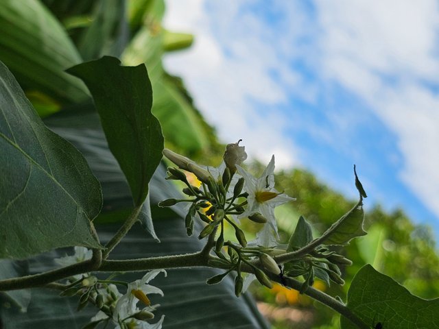 20241007_105212.jpg