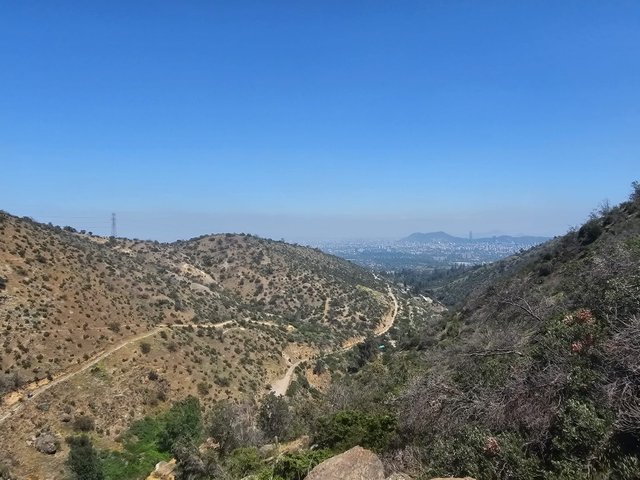 1000716771.jpg