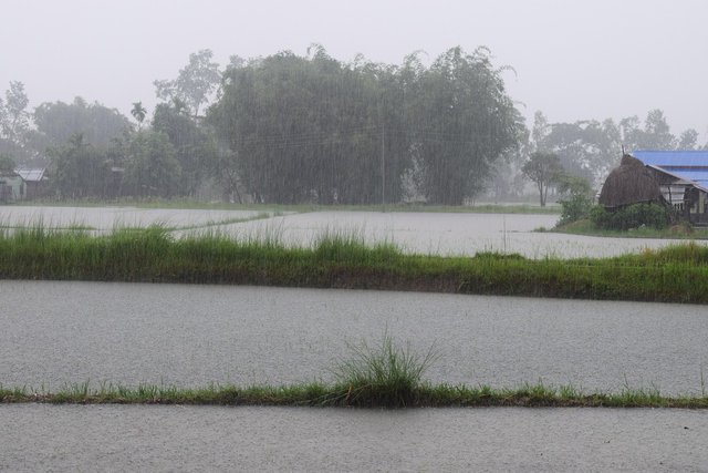 raining-5389459_1280.jpg