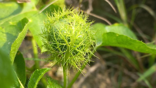 20240518_144159.jpg