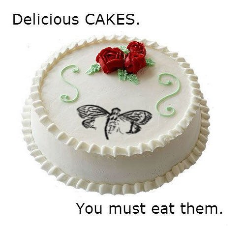 DeliciousCakes_Cicada.jpg