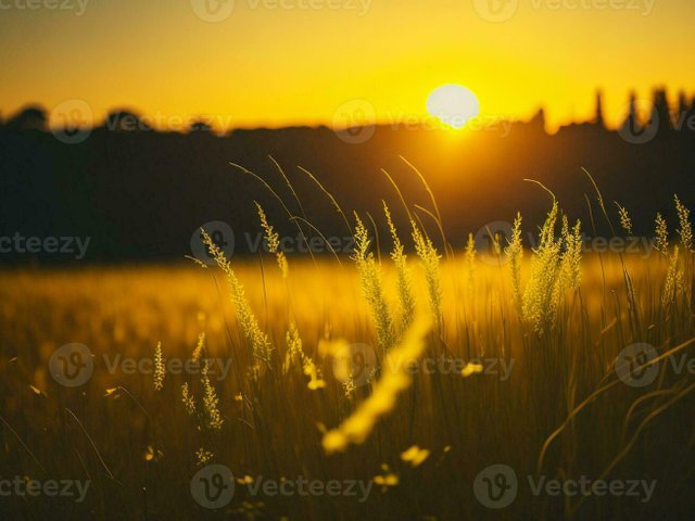 ai-generated-abstract-soft-focus-sunset-field-landscape-of-yellow-flowers-and-grass-meadow-warm-golden-hour-sunset-sunrise-time-tranquil-spring-summer-nature-closeup-and-blurred-forest-background-photo.jpg