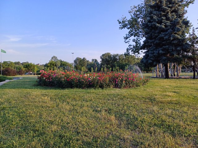 20250609_054704.jpg
