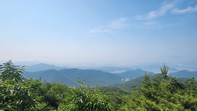 1000066829.jpg