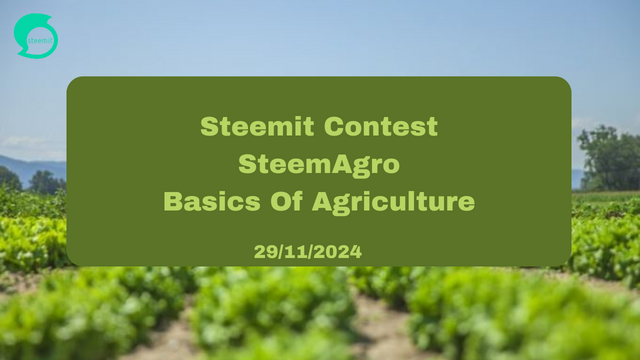 Steemit Contest SteemAgro Basics Of Agriculture.png