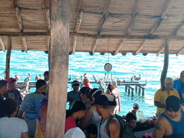 IMG_20250416_083447_107.jpg