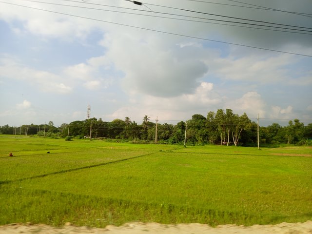 krishi (3).jpg