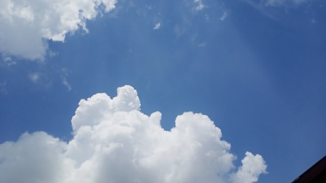 IMG20250310120818.jpg