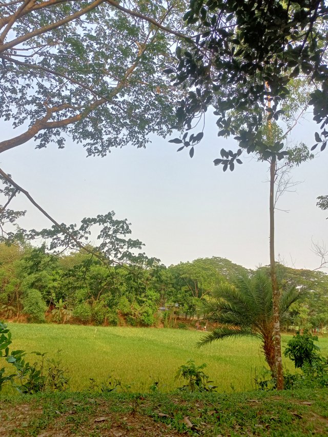 IMG20250423170300.jpg