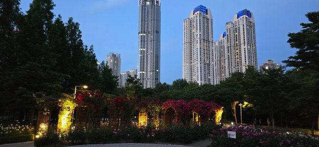 KakaoTalk_20250605_215041954_04.jpg