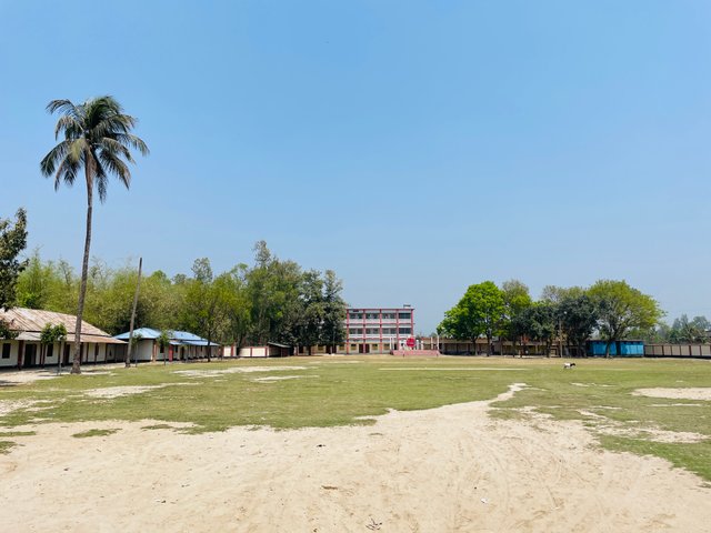 IMG_9314.jpeg