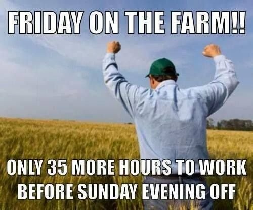 farmer meme.jpg