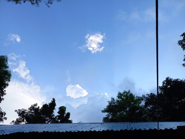 20220922_165835.jpg