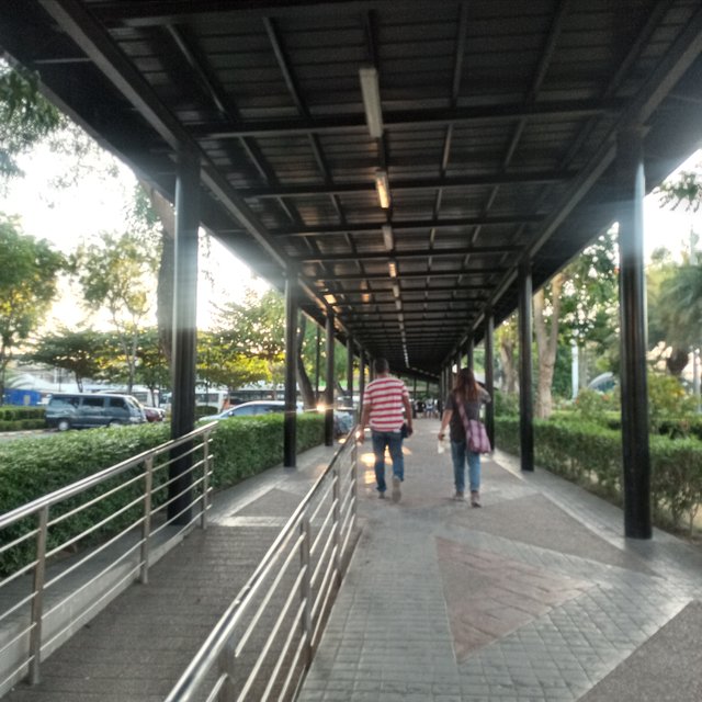 20250424_172910.jpg