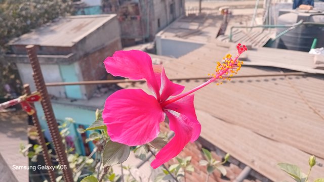 20250214_103158.jpg