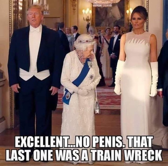 UK Queen Checks Out Melania Trump No Penis Like Michelle Michael Mike Barack Obama USA EU.jpeg