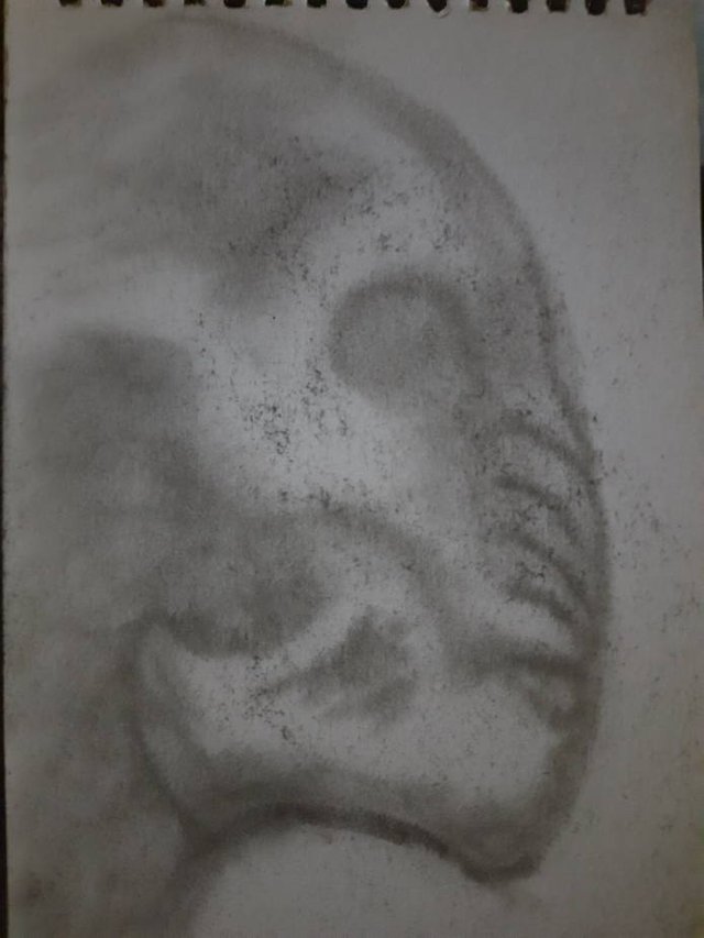 20250713_091611.jpg
