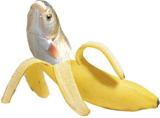 bananafish.jpg