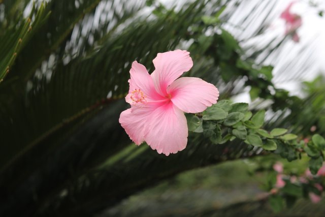 IMG_8979.JPG