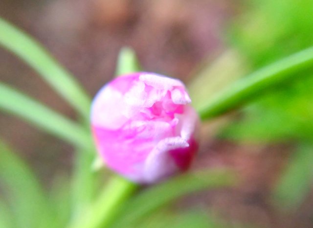 20210519_081612.jpg