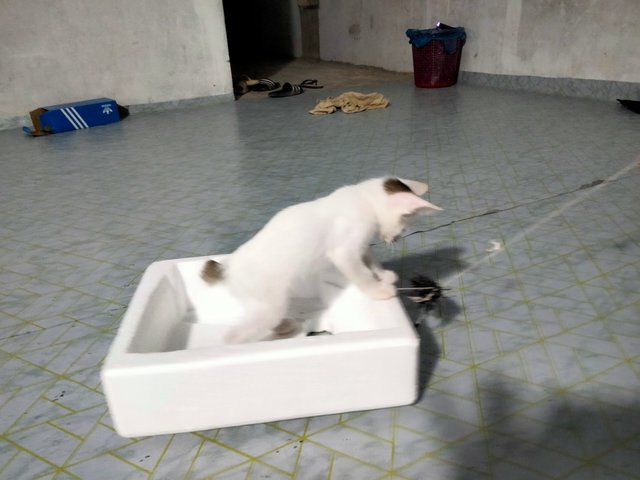 IMG20250310224529.jpg