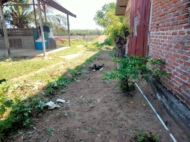 IMG20250818110210.jpg