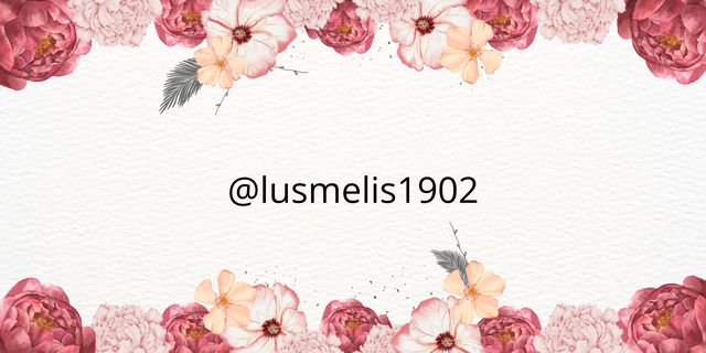 @lusmelis1902_20250707_103024_0000.png