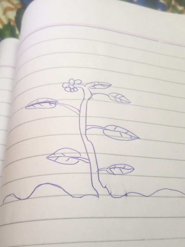 3333333333333333333.jpg