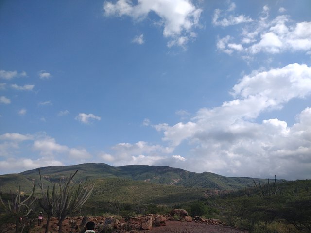 IMG_20231224_095149691.jpg