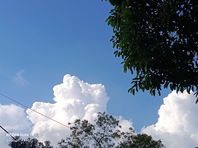1000003818.jpg