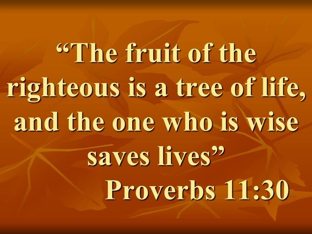 Spiritual advice. The fruit of the righteous is a tree of life, and the one who is wise saves lives. Proverbs 11,30.jpg