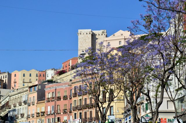 Cagliari 022_mini-min.jpg