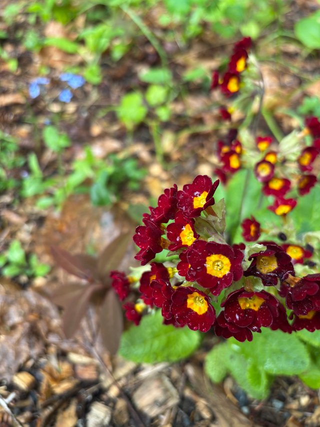 IMG_8330.jpeg
