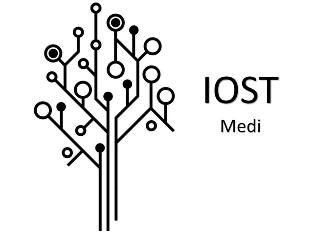 IOST Logo.jpg