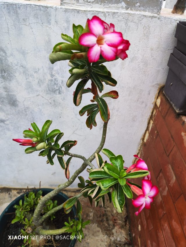 Sin título-3.jpg