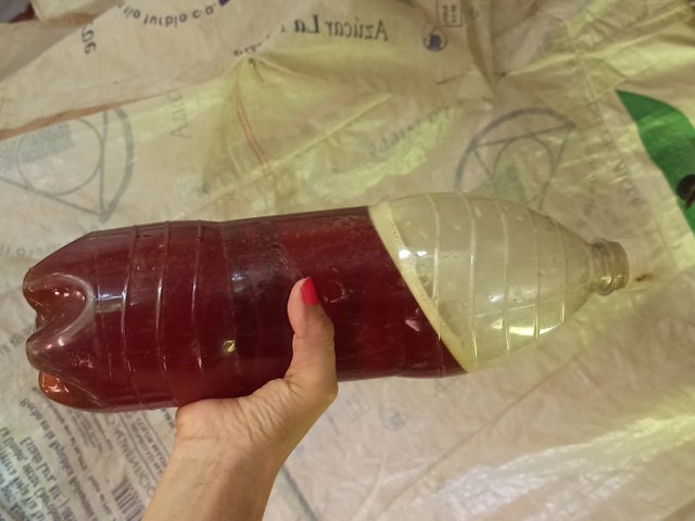 IMG_20250727_210412.jpg