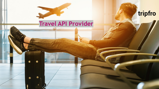 Travel API Provider.png