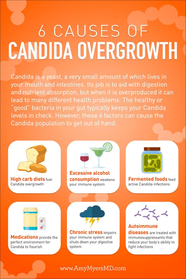 Infographic_6-Causes-of-Candida-Overgrowth.jpg