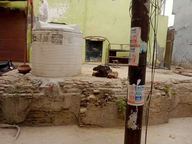 IMG20250415143320.jpg