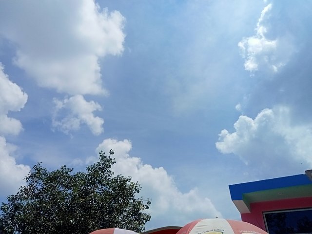 IMG20250908111112.jpg