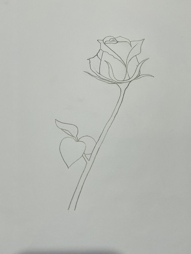 IMG_1107.jpeg