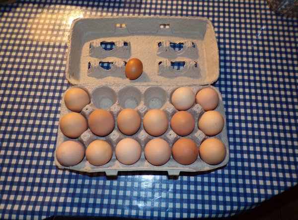 Pullet a Xlg eggs crop February 2020.jpg