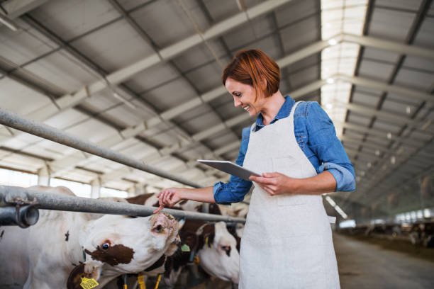 istockphoto-1218556664-612x612.jpg