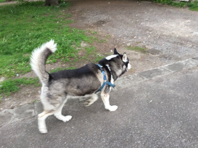 IMG3365.JPG