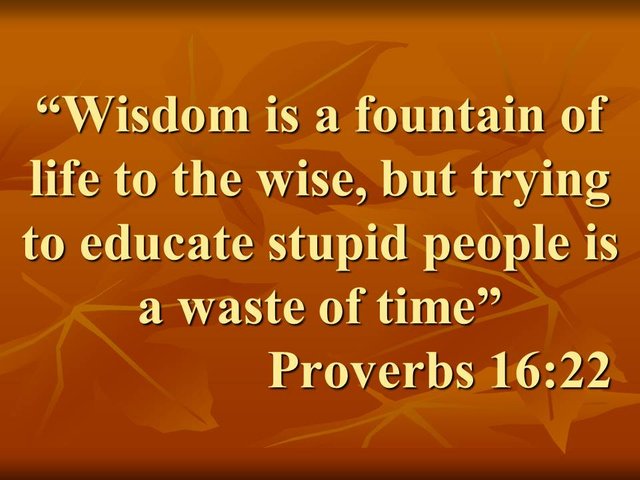 Personal growth. Wisdom is a fountain of life to the wise, but trying to educate stupid people is a waste of time. Proverbs 16,22.jpg